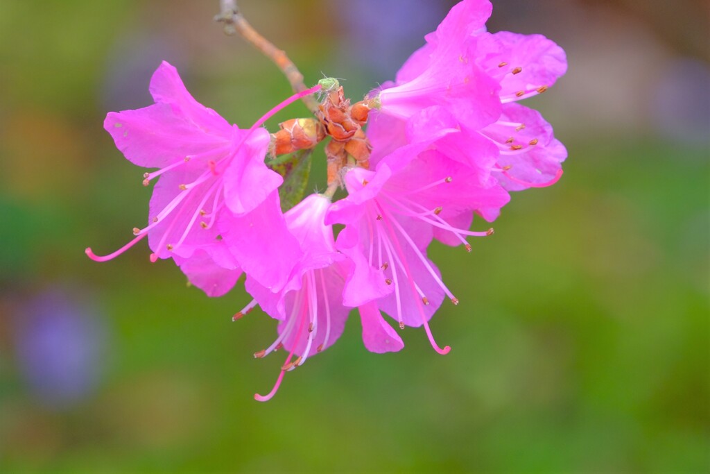 散歩の途中で。Ⅶ