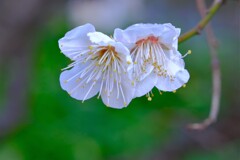 散歩の途中で。Ⅳ