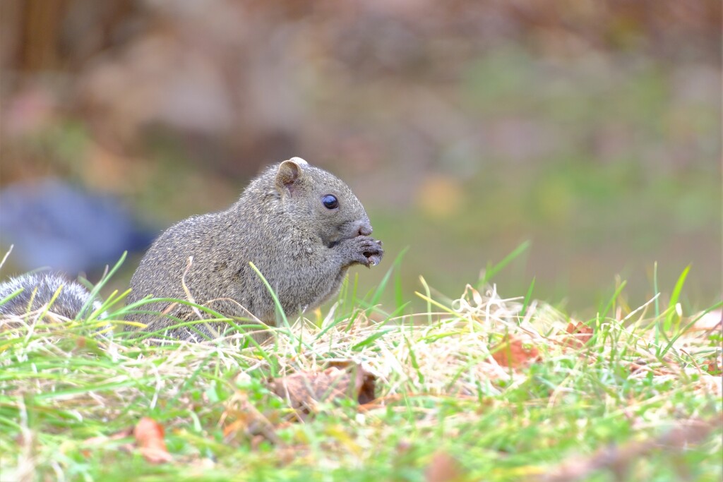 散歩の途中で。４