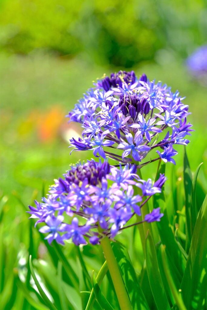 散歩の途中で。Ⅵ