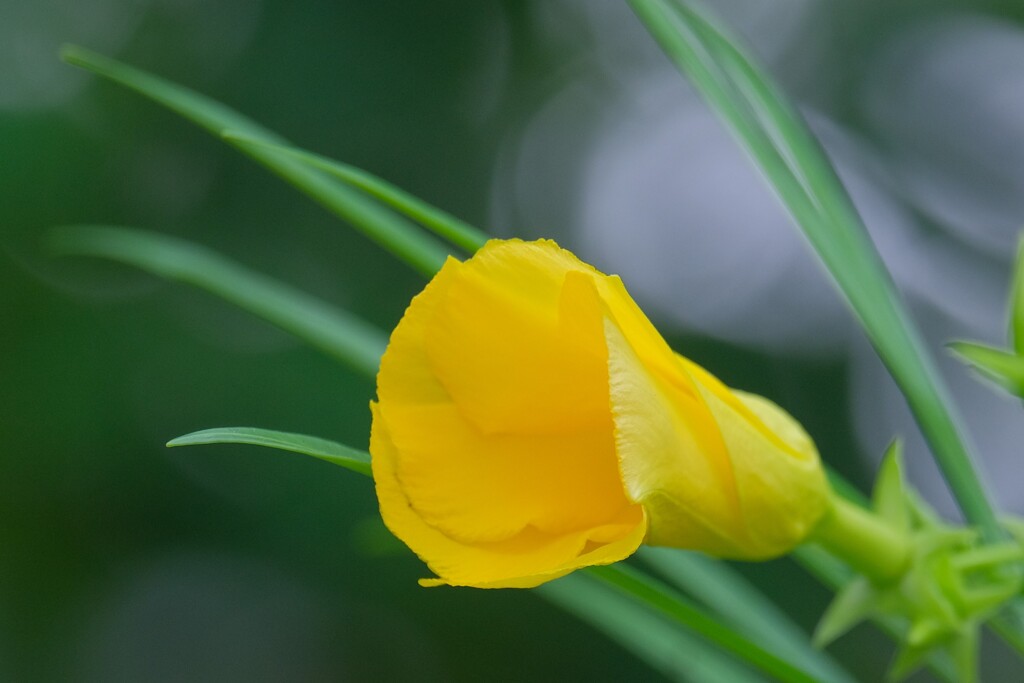 散歩の途中で。