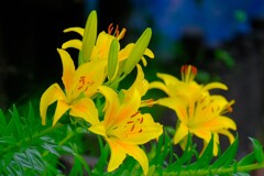 散歩の途中で。