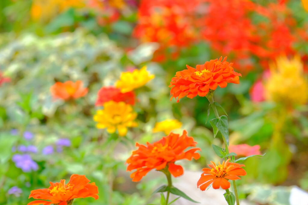 散歩の途中で。２