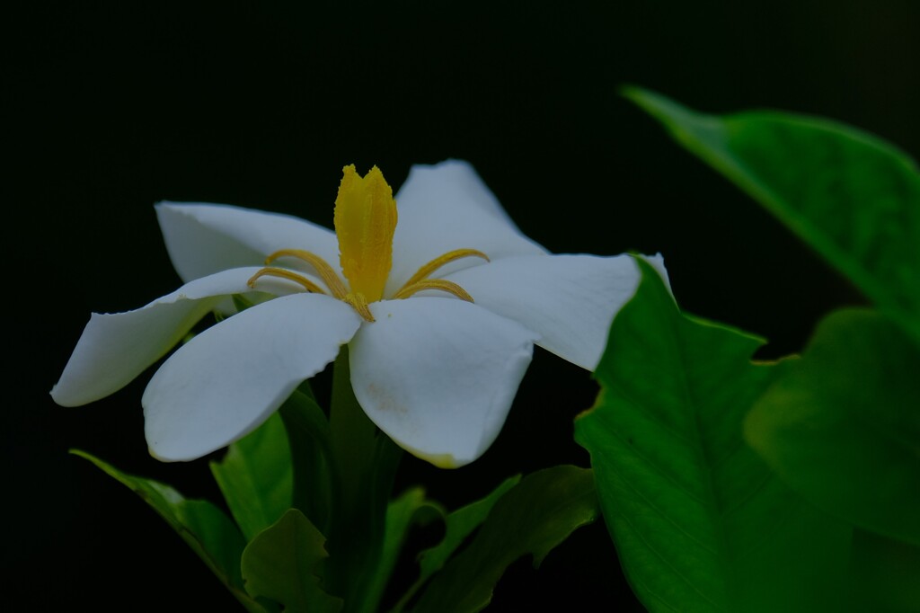 散歩の途中で。４