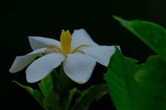 散歩の途中で。４