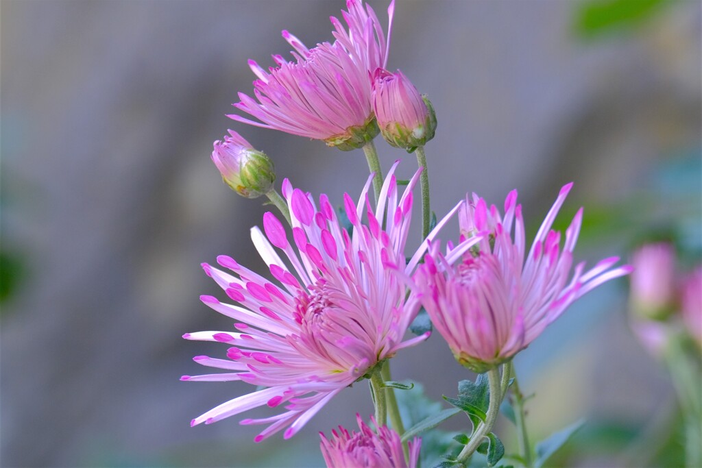 散歩の途中で、10