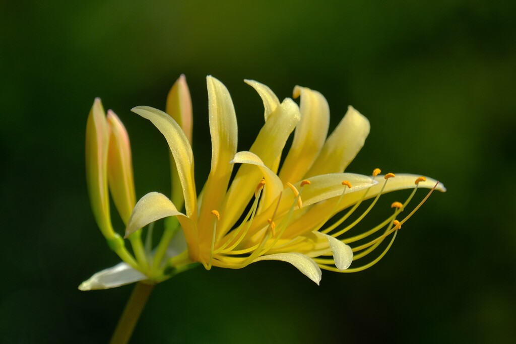 散歩の途中で。⑤