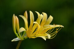 散歩の途中で。⑤