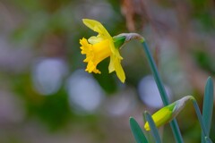 散歩の途中で。Ⅱ