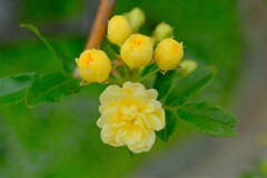 散歩の途中で。4