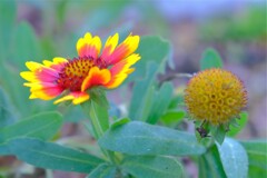 散歩の途中で。Ⅸ