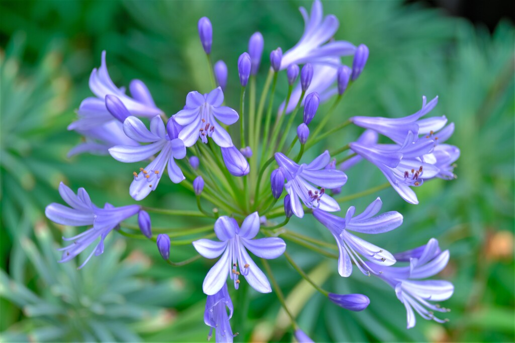 散歩の途中で。５