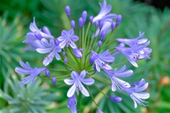 散歩の途中で。５