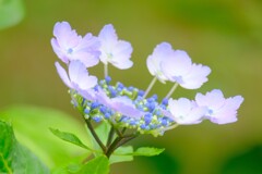 散歩の途中で。