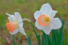 散歩の途中で。Ⅴ