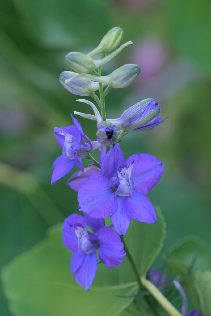 散歩の途中で。Ⅸ