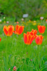 散歩の途中で。10