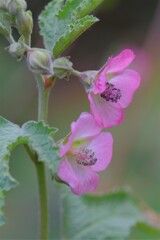 散歩の途中で。Ⅲ