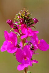 散歩の途中で。②