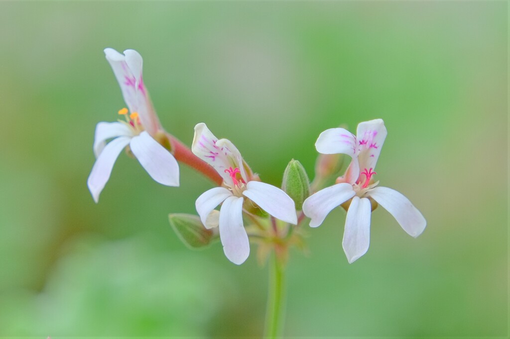 散歩の途中で。２