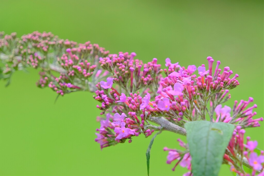 散歩の途中で。Ⅶ