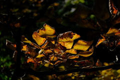 散歩の途中で、4