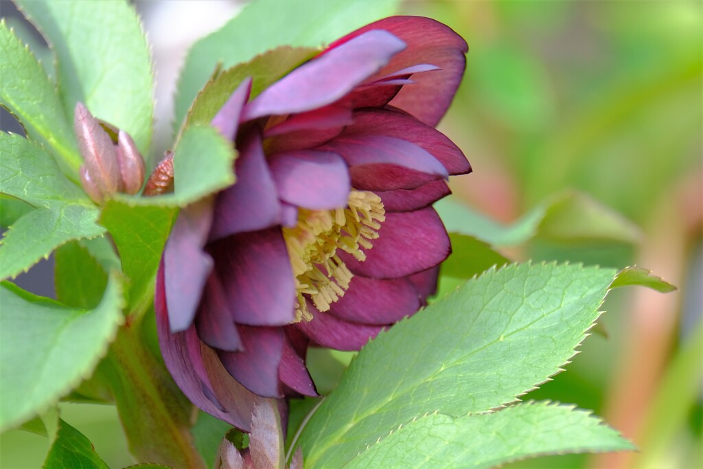 散歩の途中で。②