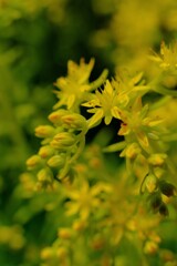 散歩の途中で。3