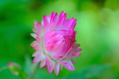 散歩の途中で。7