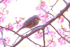 散歩の途中で。１