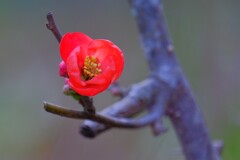 散歩の途中で。①