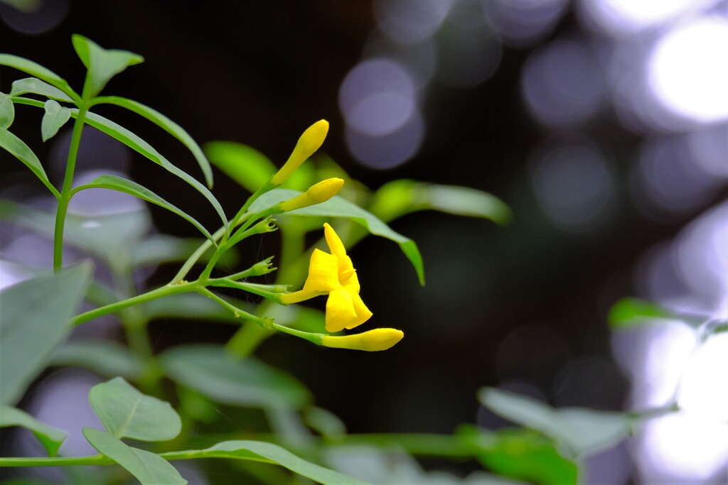 散歩の途中で、Ⅰ