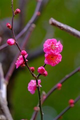 散歩の途中で。Ⅰ