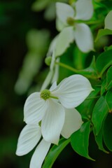 散歩の途中で。６