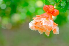 散歩の途中で。③