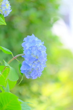 散歩の途中で。5