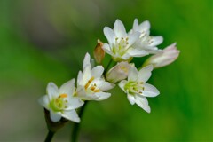 散歩の途中で。④