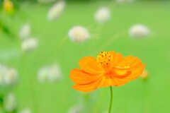 散歩の途中で。3