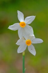 散歩の途中で。⑨