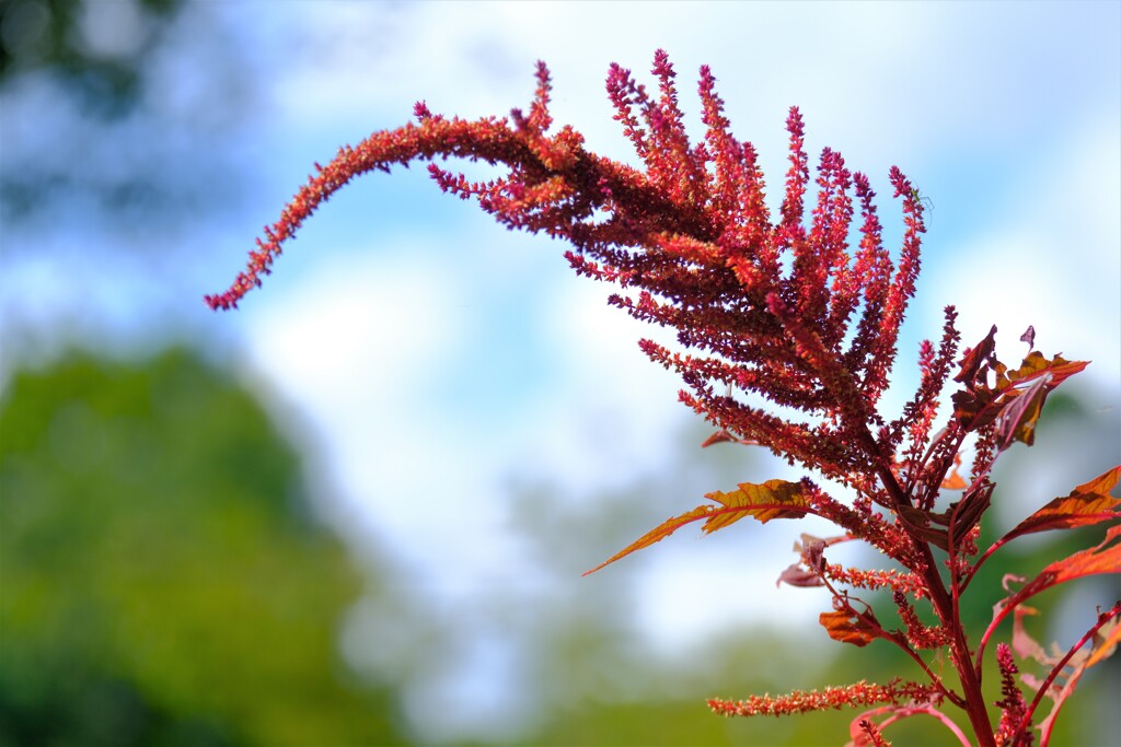 散歩の途中で。④