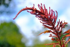 散歩の途中で。④