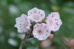 散歩の途中で。Ⅶ