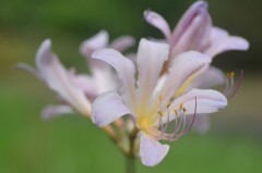 散歩の途中で。Ⅳ