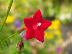 散歩の途中で。⑤