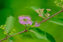 散歩の途中で。