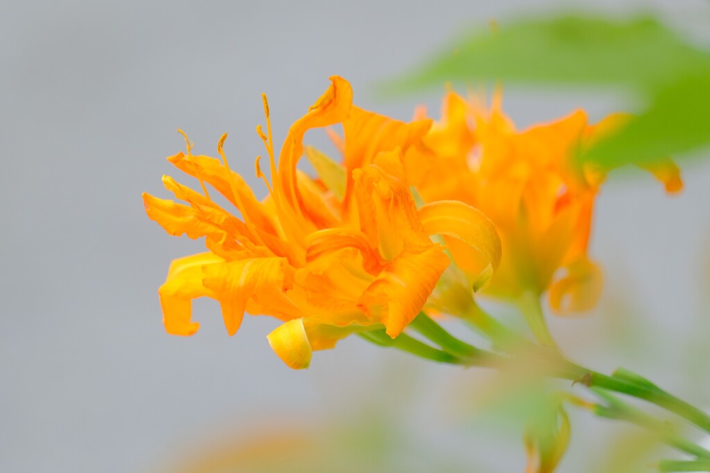 散歩の途中で。