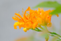 散歩の途中で。