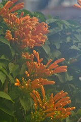 散歩の途中で。4