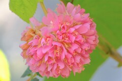 散歩の途中で。Ⅲ