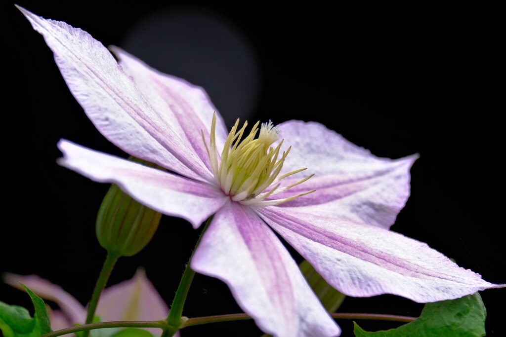 散歩の途中で、④